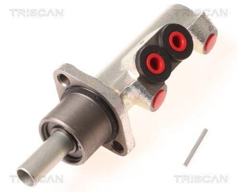 TRISCAN 8130 10113 Hauptzylinder f&uuml;r Ford, Seat, Vw