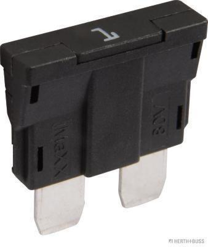 HERTH+BUSS 50295846 Sicherung Standard, 80 V, 1 A