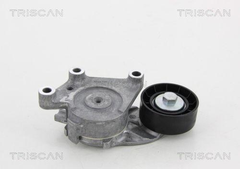 TRISCAN 8641 282018 Spannrolle f&uuml;r Citroen