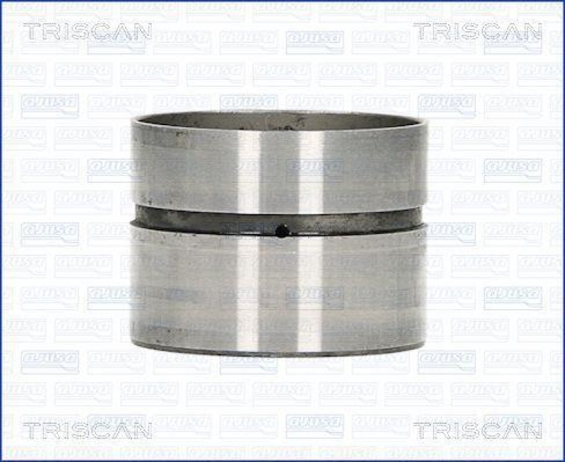 TRISCAN 80-29010 Ventilst&ouml;ssel f&uuml;r Vw
