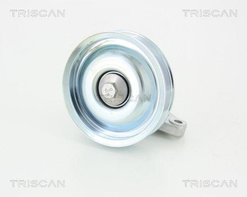 TRISCAN 8641 282020 Umlenkrolle f&uuml;r Citroen