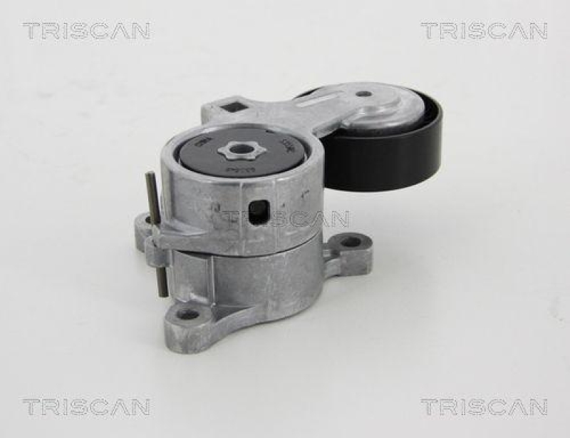 TRISCAN 8641 283008 Riemenspanneinheit für Citroen, Peugeot