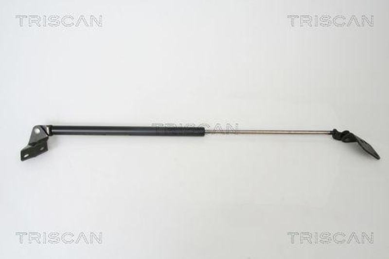 TRISCAN 8710 69213 Gasfeder Hinten für Suzuki Alto Iii