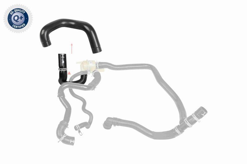 VAICO V48-0581 K&uuml;hlerschlauch f&uuml;r LAND ROVER