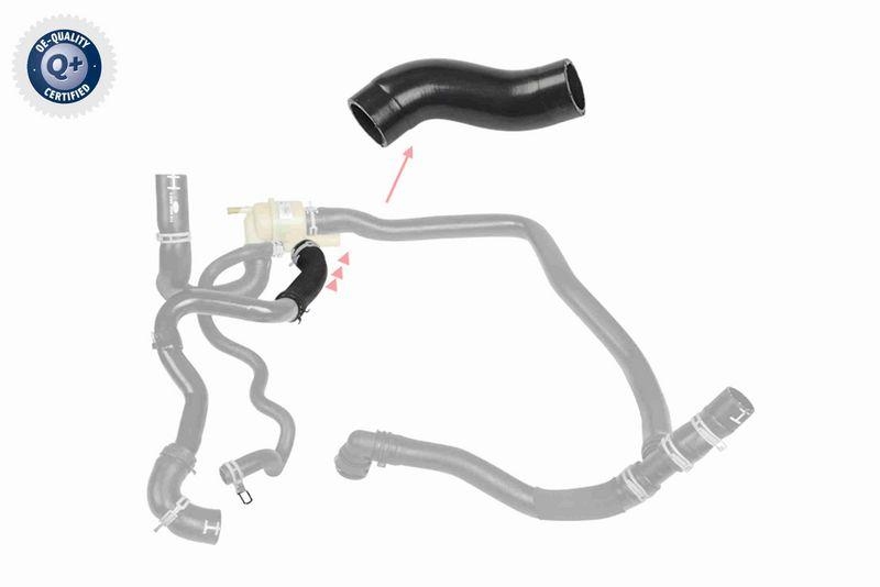 VAICO V48-0582 K&uuml;hlerschlauch f&uuml;r LAND ROVER