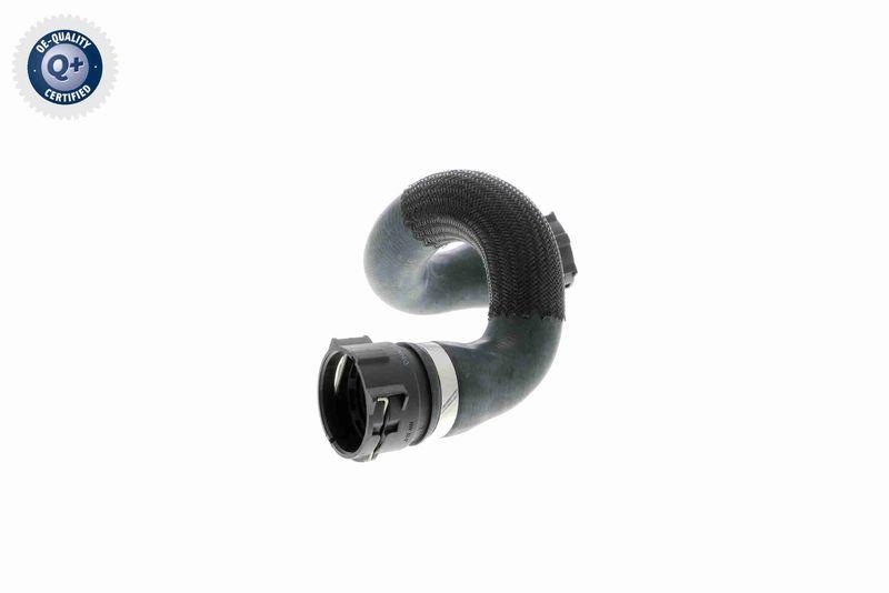 VAICO V20-1461 K&uuml;hlerschlauch unten f&uuml;r BMW