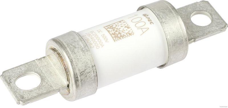 HERTH+BUSS 50296003 Sicherung