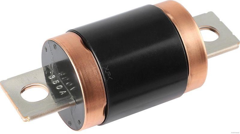 HERTH+BUSS 50296008 Sicherung