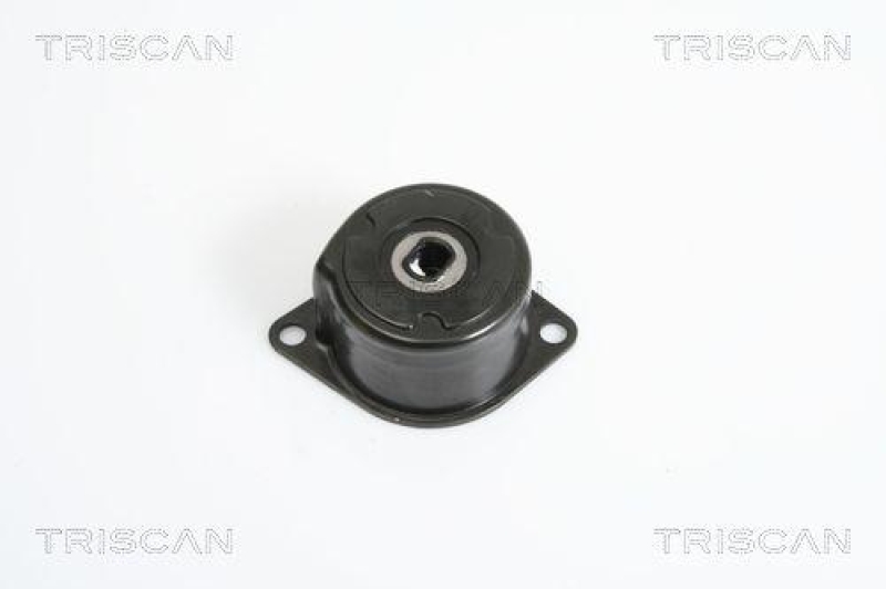 TRISCAN 8641 293022 Riemenspanneinheit f&uuml;r Fiat, Opel