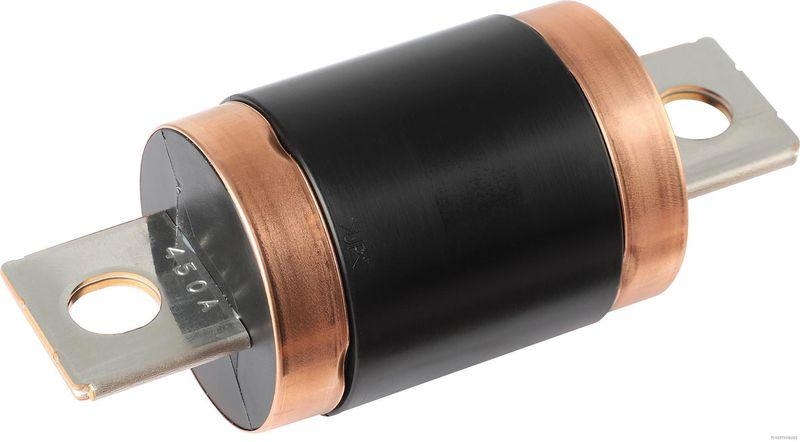 HERTH+BUSS 50296010 Sicherung