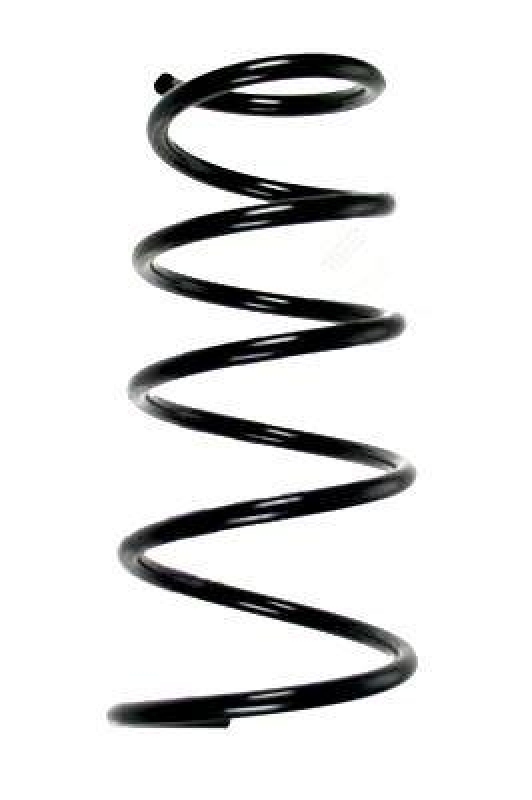 SPIDAN 85810 Fahrwerksfeder