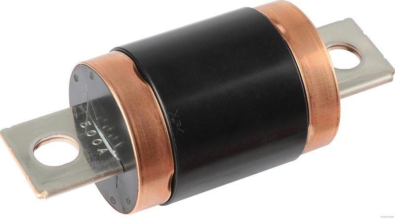 HERTH+BUSS 50296011 Sicherung