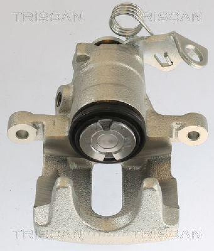 TRISCAN 8175 10202 Triscan Bremssattel f&uuml;r Vw, Ford