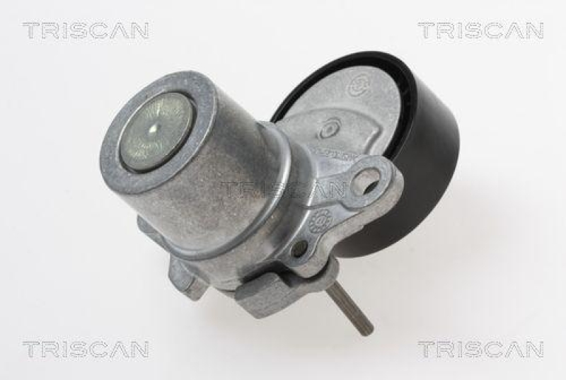 TRISCAN 8641 293055 Spannrolle für Audi, Vag