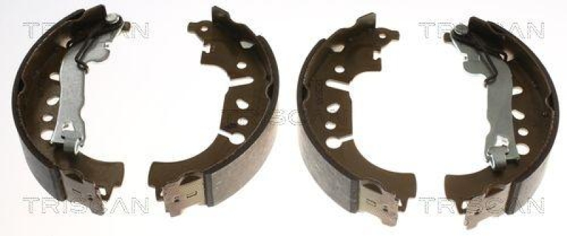 TRISCAN 8100 15029 Bremsbacken f&uuml;r Fiat