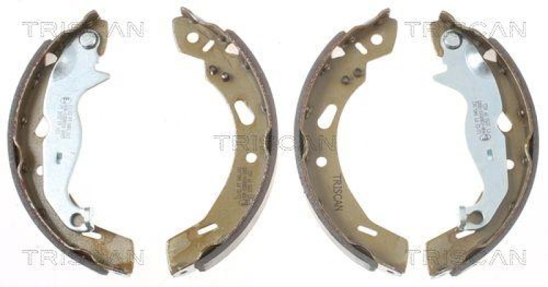 TRISCAN 8100 16013 Bremsbacken f&uuml;r Ford Fiesta