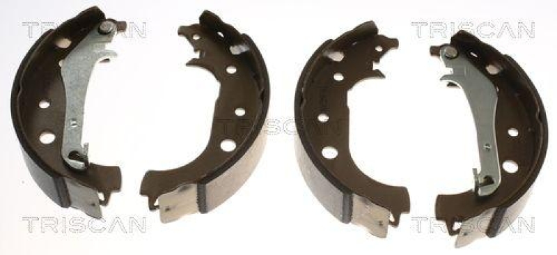 TRISCAN 8100 16016 Bremsbacken f&uuml;r Ford