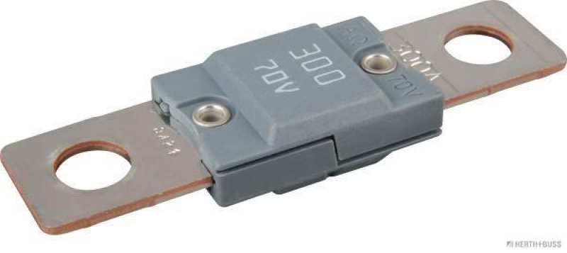 HERTH+BUSS 50296708 Sicherung MEGA, 70 V, 300 A