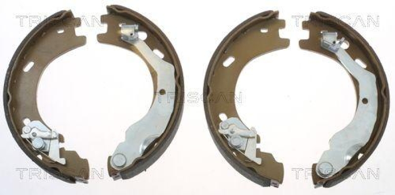 TRISCAN 8100 17014 Bremsbacken, Feststellbremse f&uuml;r Land Rover Discovery
