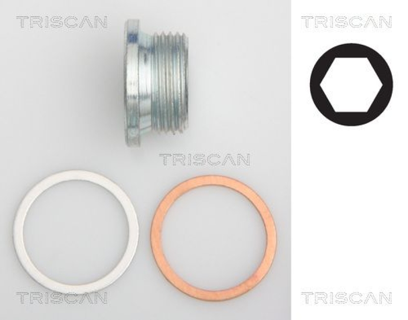 TRISCAN 9500 1018 Verschlussschraube Ölwanne