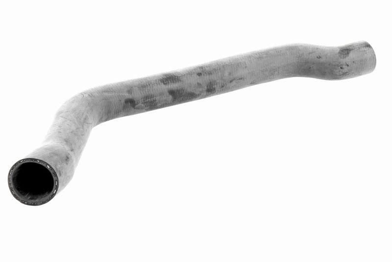 VAICO V20-2607 K&uuml;hlerschlauch K&uuml;hler, Anschlu&szlig; unten f&uuml;r MINI