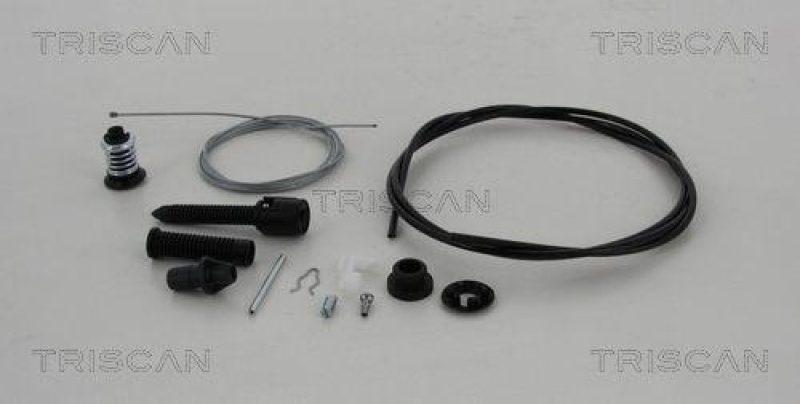 TRISCAN 8140 25313 Gaszug f&uuml;r Renault Twingo