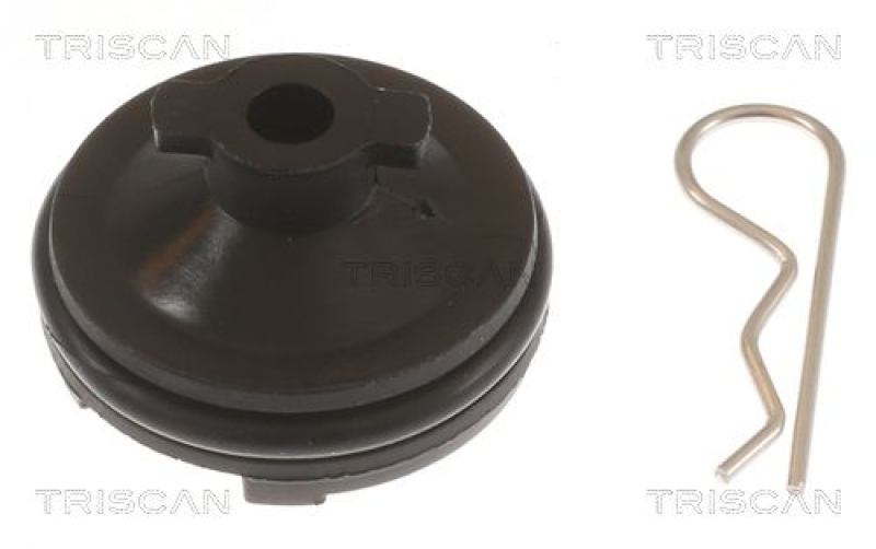 TRISCAN 9500 1023 Ölablassschraube für Peugeot, Citroen, Ford