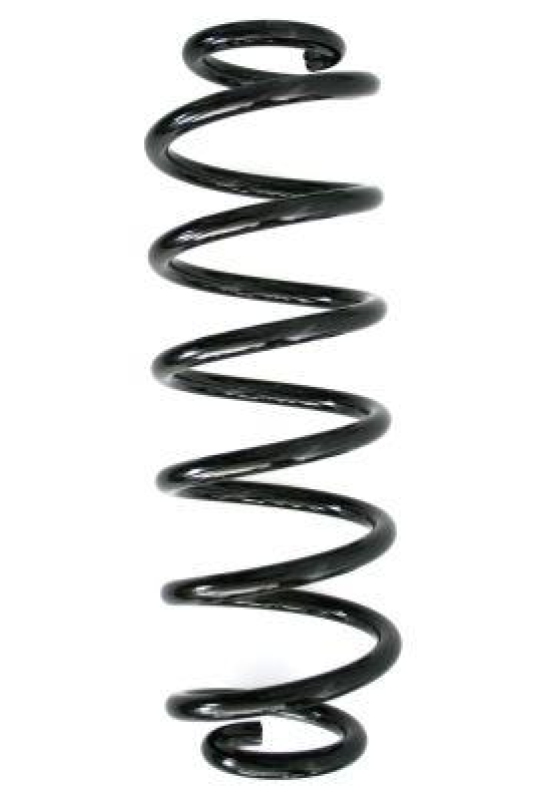 SPIDAN 86619 Fahrwerksfeder