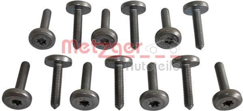 METZGER 8029025 Schraubensatz, Ölwanne-Automatikgetriebe für BMW 13 SCHRAUBEN