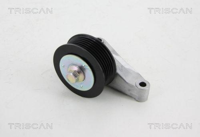 TRISCAN 8641 502008 Umlenkrolle für Mazda 6