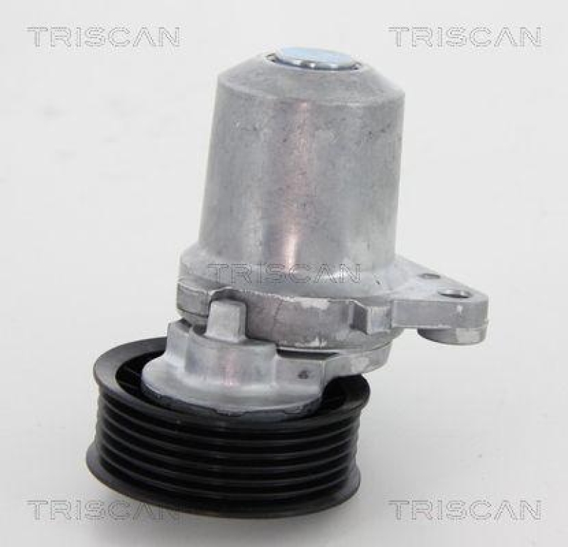 TRISCAN 8641 503003 Spannrolle für Mazda