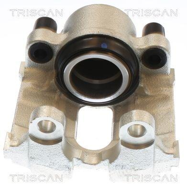 TRISCAN 8175 11120 Triscan Bremssattel f&uuml;r Bmw