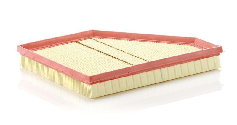 MANN-FILTER C 3090/1 Luftfilter f&uuml;r BMW