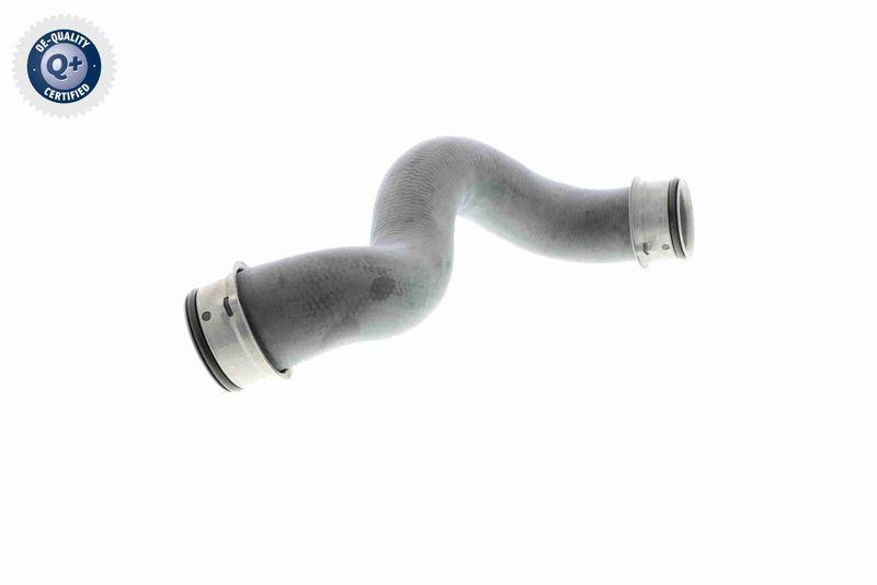 VAICO V30-2225 K&uuml;hlerschlauch rechts, unten f&uuml;r MERCEDES-BENZ