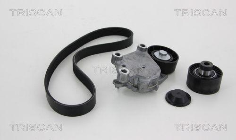 TRISCAN 8642 10003 Keilrippenriemensatz f&uuml;r Peugeot
