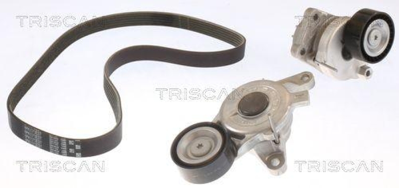TRISCAN 8642 10038 Keilrippenriemensatz