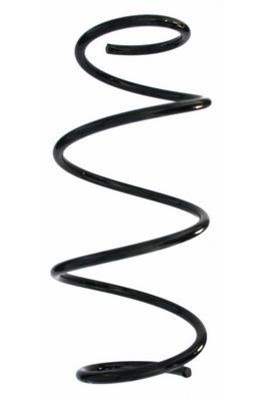 SPIDAN 87863 Fahrwerksfeder