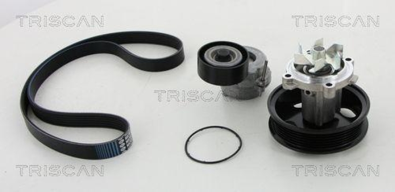 TRISCAN 8642 100501 Keilrippenriememsatz + Wasserpumpe f&uuml;r Alfa, Fiat, Opel, Suzuki