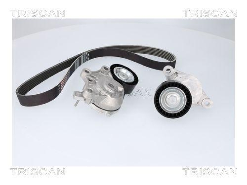TRISCAN 8642 10053 Keilrippenriemensatz