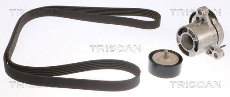 TRISCAN 8642 11002 Keilrippenriemensatz