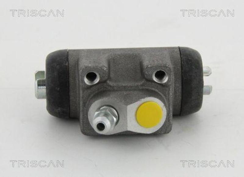 TRISCAN 8130 43029 Radzylinder f&uuml;r Hyundai Terracan