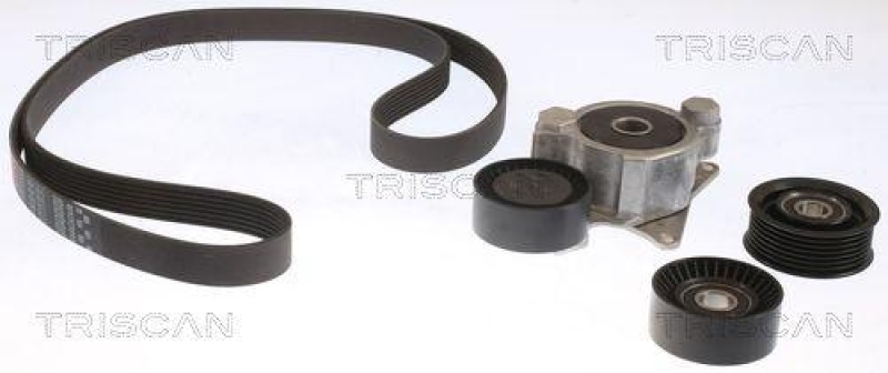 TRISCAN 8642 13006 Keilrippenriemensatz