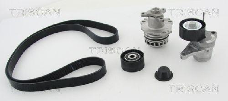TRISCAN 8642 100505 Keilrippenriememsatz + Wasserpumpe f&uuml;r Nissan, Renault