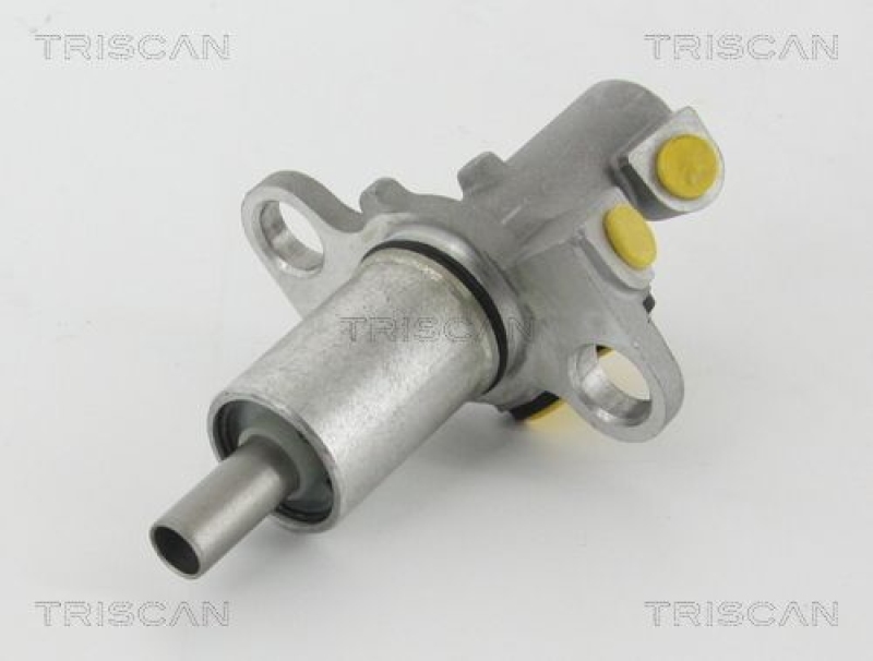 TRISCAN 8130 29172 Hauptzylinder für Audi A6
