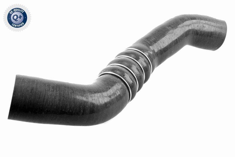 ACKOJA A38-0299 Ladeluftschlauch für NISSAN