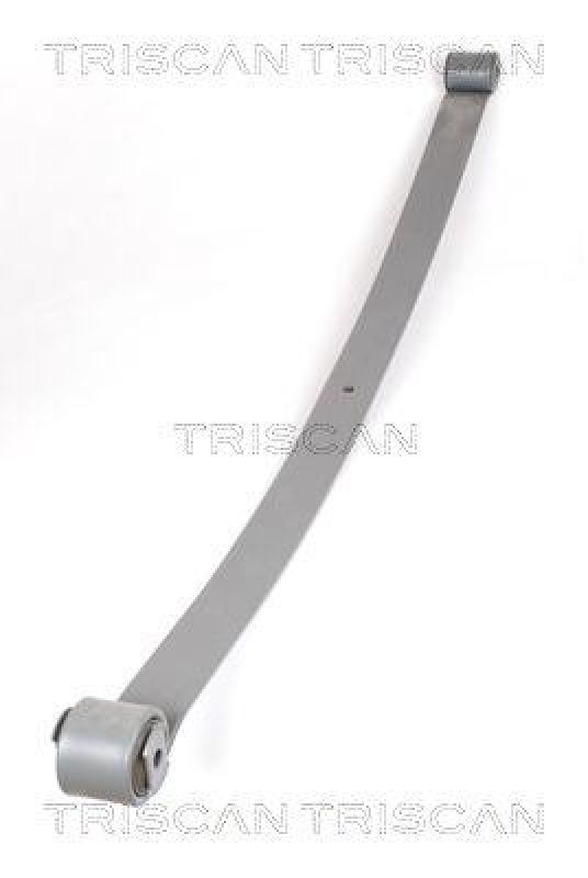 TRISCAN 8765 10001 Blattfeder Hinten f&uuml;r Fiat