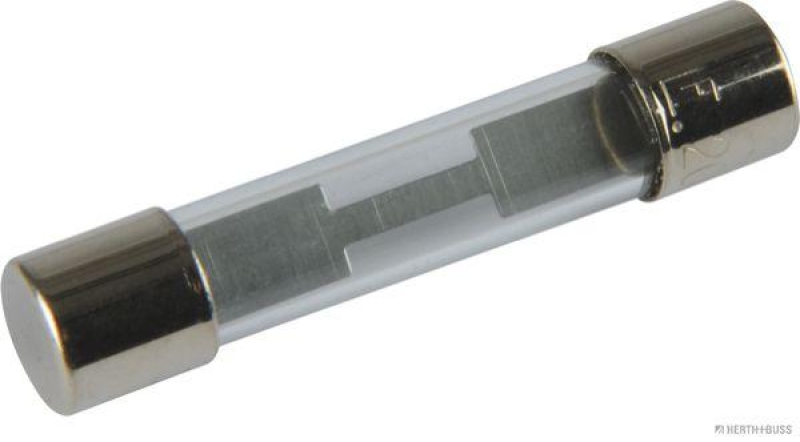 HERTH+BUSS 50295153 Sicherung Glas, F flink, 6,3 x 32mm, 20 A