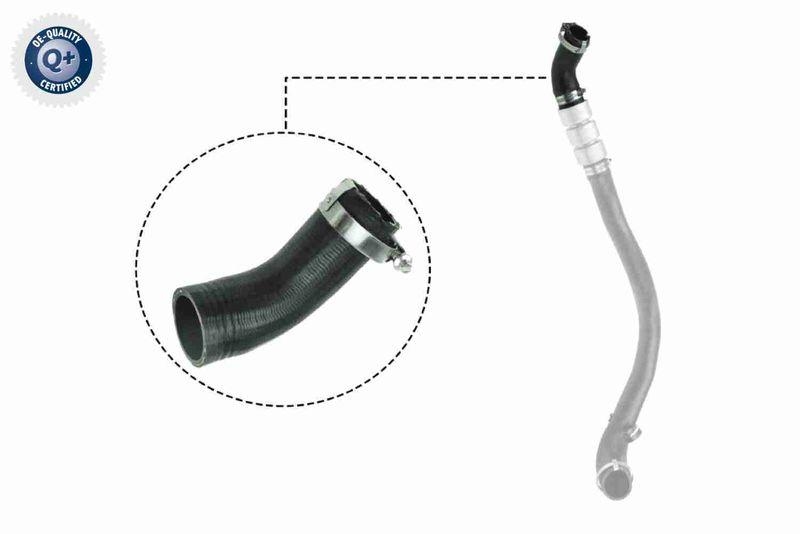 VAICO V25-1037 Ladeluftschlauch f&uuml;r FORD