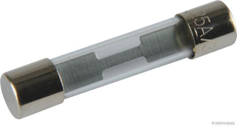 HERTH+BUSS 50295154 Sicherung Glas, F flink, 6,3 x 32mm, 25 A