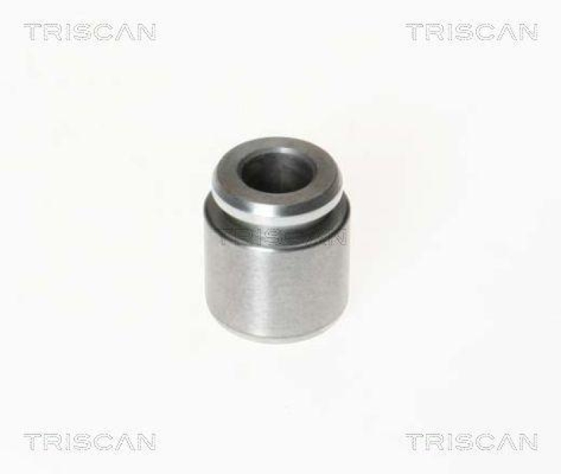 TRISCAN 8170 232801 Kolben f&uuml;r Audi, Porsche, Vw